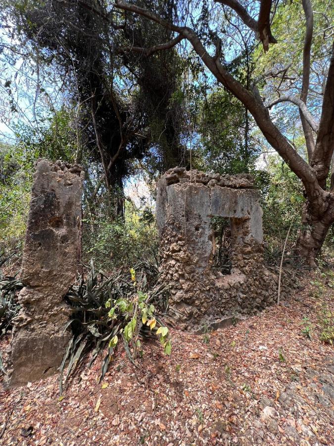 Chole Foxes Lodge Εξωτερικό φωτογραφία