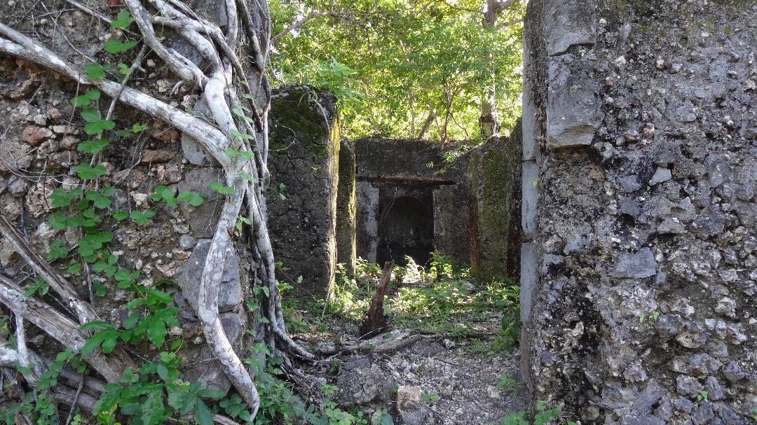 Chole Foxes Lodge Εξωτερικό φωτογραφία
